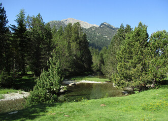Landscape in the National Park of Aigüestortes and Lake of Sant Maurici. Sant Nicolau River. Pyrenees Mountains. Spain.