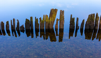 Row of old wooden planks in the water