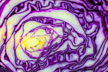 Obraz premium Purple or red cabbage texture inside, Natural eco background. Beautiful wallpaper. Macro photo.