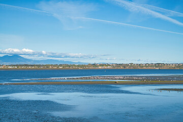 Panoramic view of wetland at scenic Bolsa Chica Ecological Reserve California
