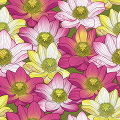 Botanical illustration. Floral seamless background. Pink and yellow lotuses. 