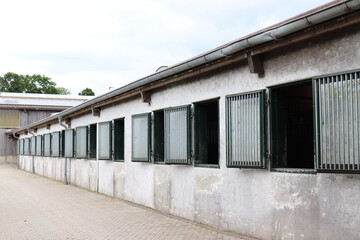 Pferdegestüt. Reithof. 