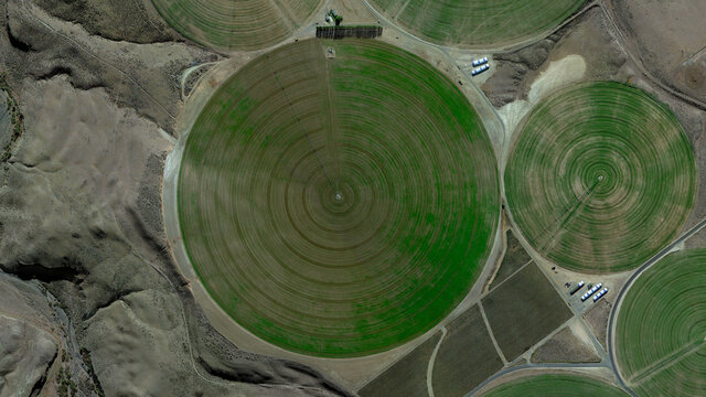 Center pivot irrigation system, circular fields and food safety, looking down aerial view from above, bird’s eye circular fields 