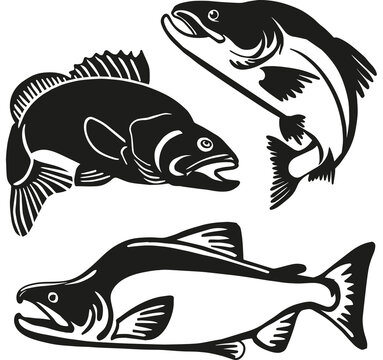 Fish black silhouettes vector icons, fish market and fishing. Pike, perch, river sheatfish and flounder, carp fish. Isolated on white