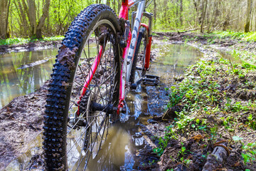 close-up of dirty wheels and the bottom of a bicycle on forest trails. View from bike wheel in puddle of mudd