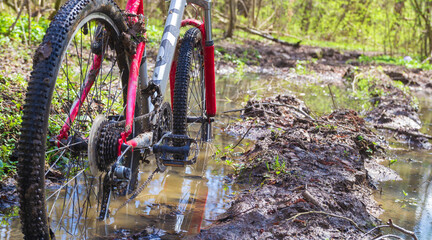 close-up of dirty wheels and the bottom of a bicycle on forest trails. View from bike wheel in puddle of mudd - obrazy, fototapety, plakaty