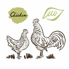 Profile of hen and rooster on the farm