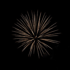 Fireworks against a black background
