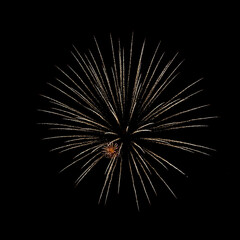 Fireworks against a black background