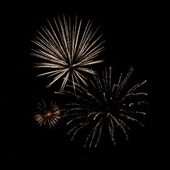 Fireworks against a black background