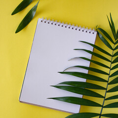 Fototapeta na wymiar A notebook with palm leaves on a yellow background