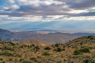 Bermuda Sand Dunes and Palm Springs view from Joshua Tree National Park overlook