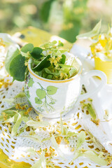 Freshly gathered linden blossoms in the cup and around outdoors in linden tree background, herbs and alternative medicine concept