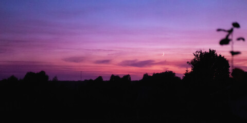 The view on the moon and the sunset in the sky with the tops of the trees.