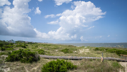 Lush Sand Dunes