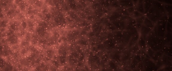 rain drops on the window