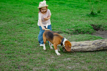 beautiful little girl, walking with an active young dog, beagle breed, walking in summer, on a sunny day