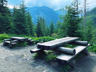 The Polish Tatras, the road to Morskie Oko, the landscape of Polish nature, mountains and trees © Robert