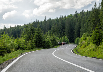 Fototapeta na wymiar Empty road in summer forest