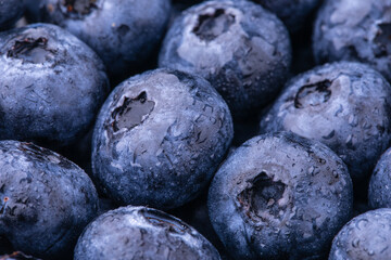 Food background, blueberries closeup with water drops, blueberries background