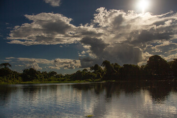 Pantanal - MS -Brasil