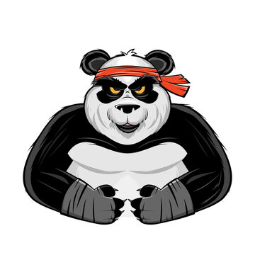 cartoon illustration of an angry panda fighter