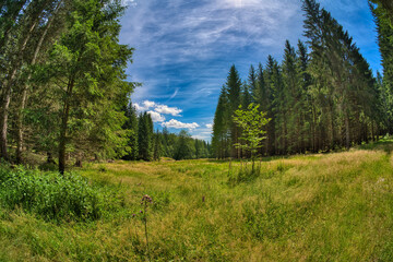 in the Massetal near Oelze in Thuringia