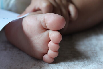 close up baby feet