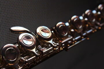 close up of a flute © evmez