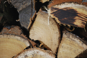 Drewno, opał, martwa natura, drewno do kominka