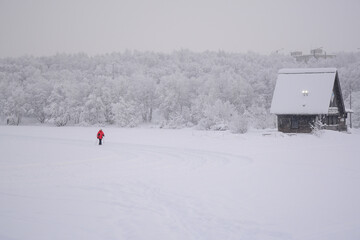 MURMANSK, RUSSIA - FEBRUARY 10, 2021: Semonovskoye lake covered by snow in winter