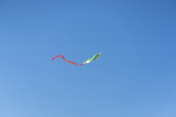 Kite in the sky