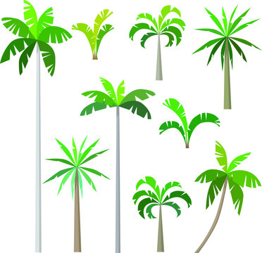 vector palm trees set