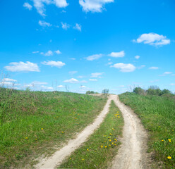 Fototapeta na wymiar the road that runs through the summer meadow