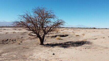 Vuelo de dron en el Desierto de Atacama. Chile
