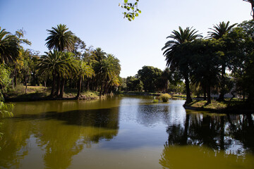 View of the lake from Parque Rodó (Park Rodo). Montevideo, Uruguay