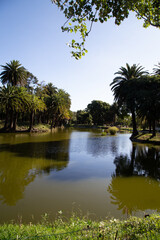 Fototapeta na wymiar View of the lake from Parque Rodó (Park Rodo). Montevideo, Uruguay
