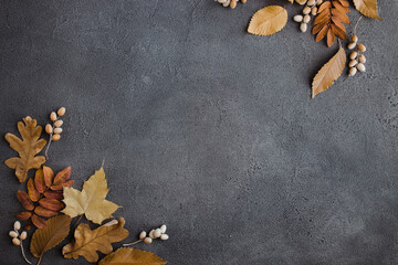Fototapeta na wymiar Autumn floral background, fall yellow leaves frame