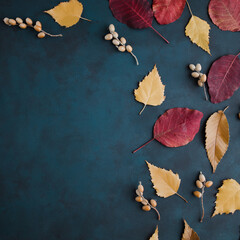 Autumn vibes template made of dried leaves