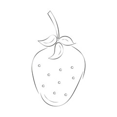 Strawberry hand drawn sketch, line art, pencil illustration isolated on white background