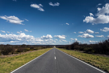 Route in the Pampas plain, Patagonia, Argentina