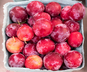 Carton filled of stone fruit, cherry plums. 