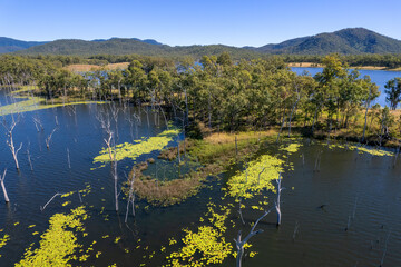 Teemburra Dam Ecosystem Queensland Australia