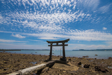 鳥居と海