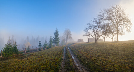 Foggy autumn mountain sunrise scene. Peaceful picturesque traveling, seasonal, nature and countryside beauty concept scene.