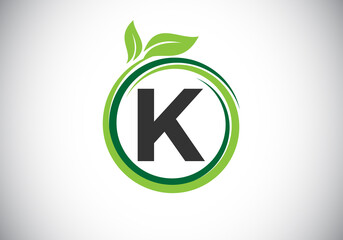 Initial K monogram letter alphabet in a spiral with green leaves. Font emblem. Nature icon sign symbol. Modern vector logo design for business healthcare, nature, farm, and company identity.