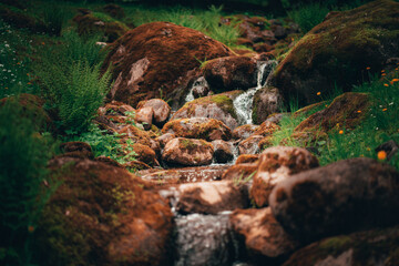 Fototapeta premium Small waterfall in the Japanese garden