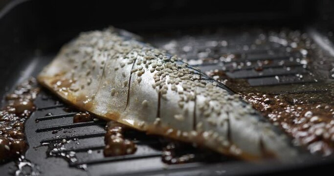 Close-up detail - Cooking pours white sesame topped Saba fish grilled on a black hot pan, Japanese menu food cooking concept.