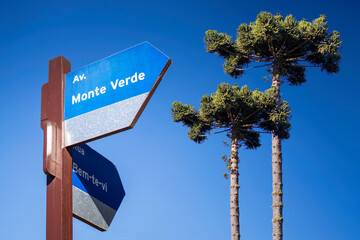 Monte Verde, Minas Gerais, Brazil - 07 10 2021. street sign Monte Verde Avenue and Bem Te Vi Street. In the background, Araucaria trees, easily found in this place.