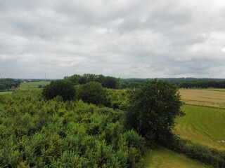 Obraz premium landscape with trees